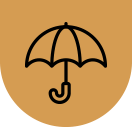 Social Security Disability Insurance